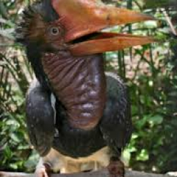 User's Profile Picture