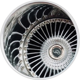 User's Profile Picture