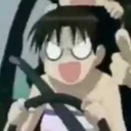 User's Profile Picture