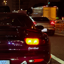 User's Profile Picture