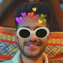 User's Profile Picture