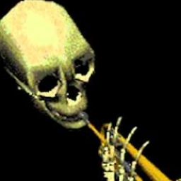 User's Profile Picture