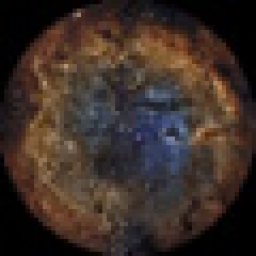 User's Profile Picture