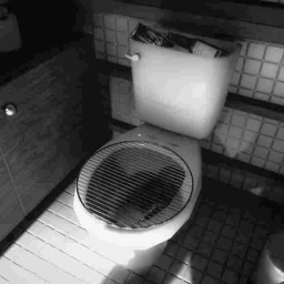 User's Profile Picture