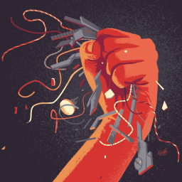 User's Profile Picture