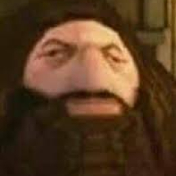 User's Profile Picture